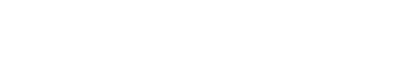 The Feed